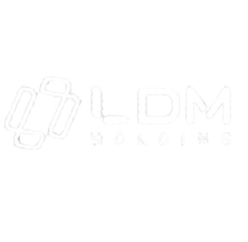 LDM Holding Capital